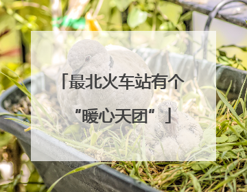 最北火车站有个“暖心天团”